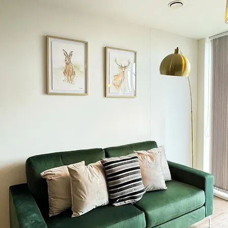 Centre Penthouse Skyline Views - Free Gym Netflix Ps4 * Birmingham